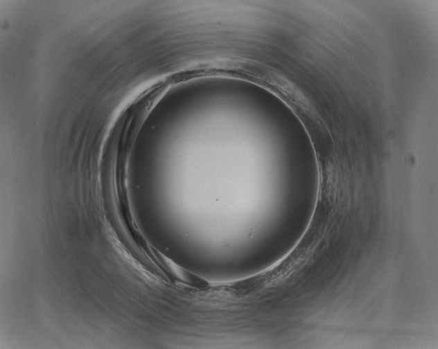 X0000063460784200601201245