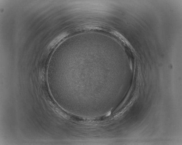 X0000063460785200601201245