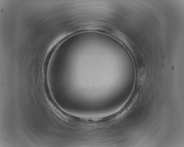 X0000063460787200601201244