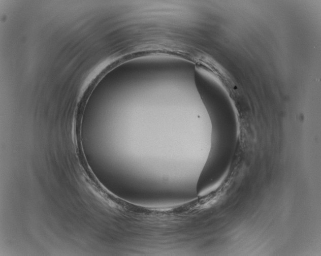 X0000063460788200601201244