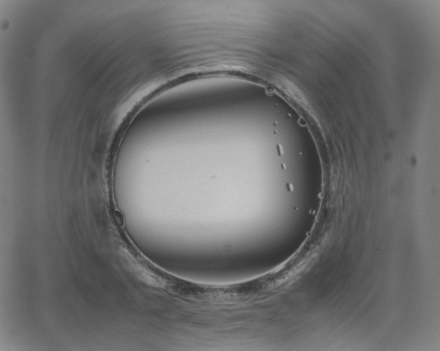 X0000063460789200601201244