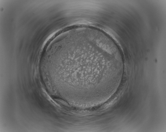 X0000063460791200601201244