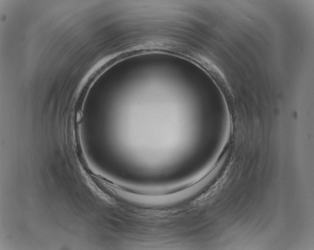 X0000063460792200601201244