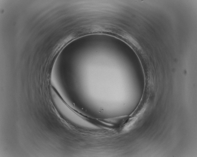 X0000063460793200601201244