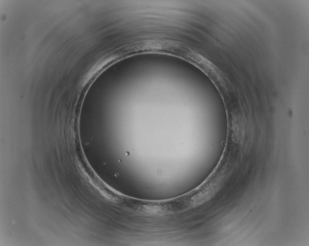 X0000063460794200601201244