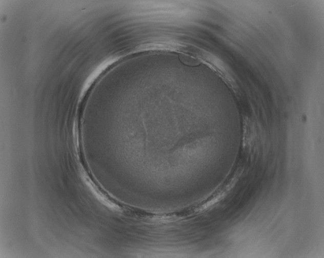 X0000063460796200601201244