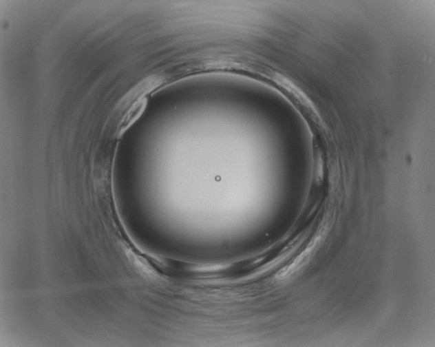 X0000063460801200601201244