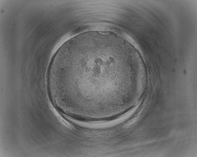 X0000063460803200601201244