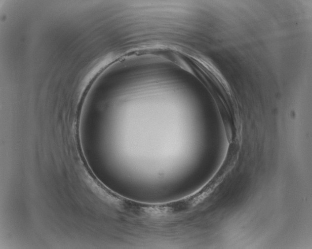 X0000063460805200601201244