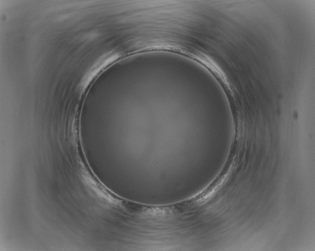 X0000063460806200601201244