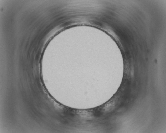 X0000063460807200601201244