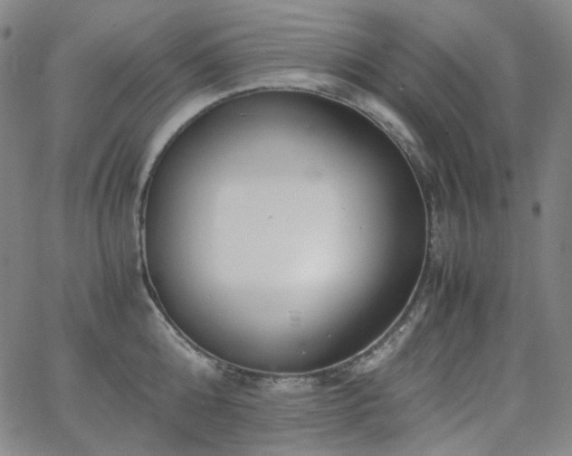 X0000063460808200601201244