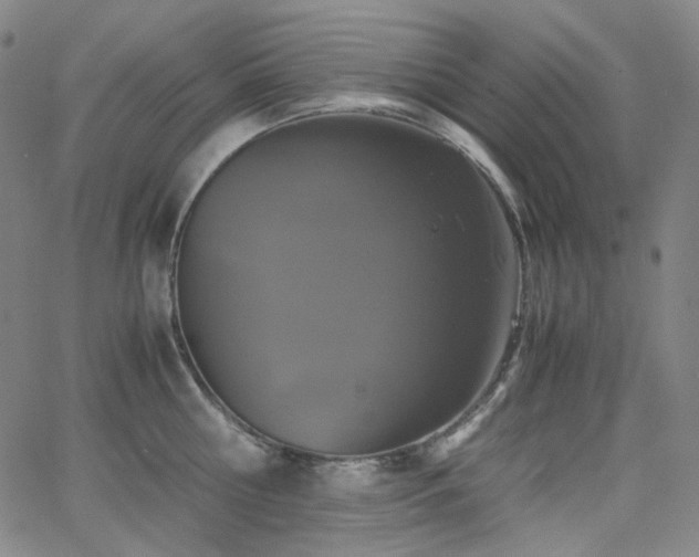 X0000063460810200601201244