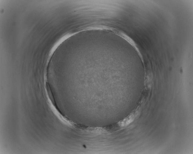 X0000063460811200601201244