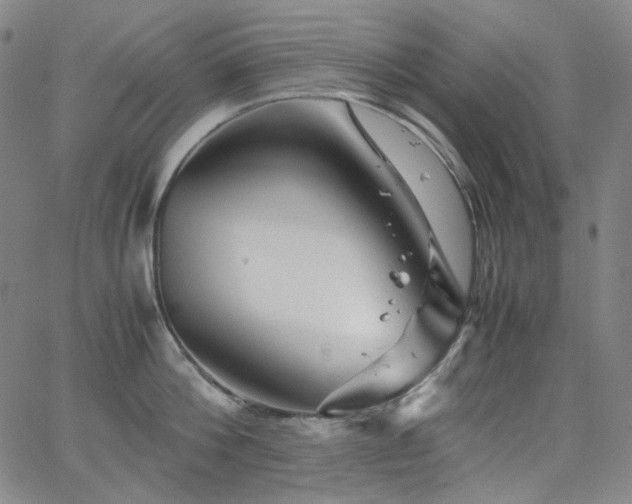 X0000063460812200601201244