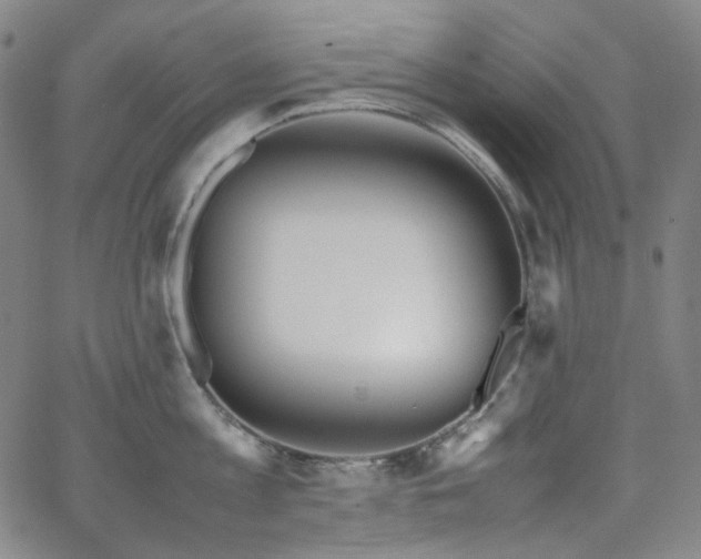 X0000063460813200601201244