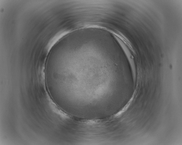 X0000063460814200601201244