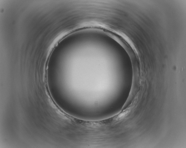 X0000063460815200601201244