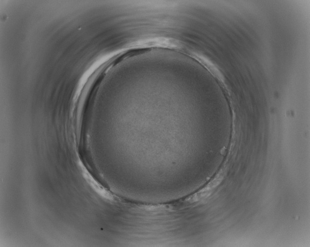 X0000063460816200601201244