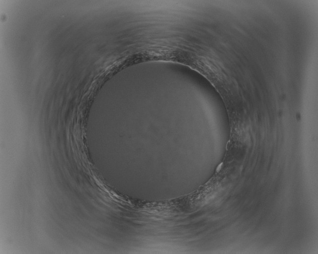 X0000063460817200601201243