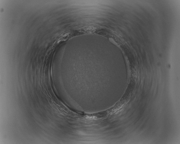 X0000063460818200601201243