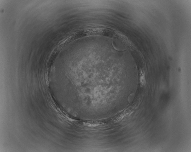 X0000063460819200601201243