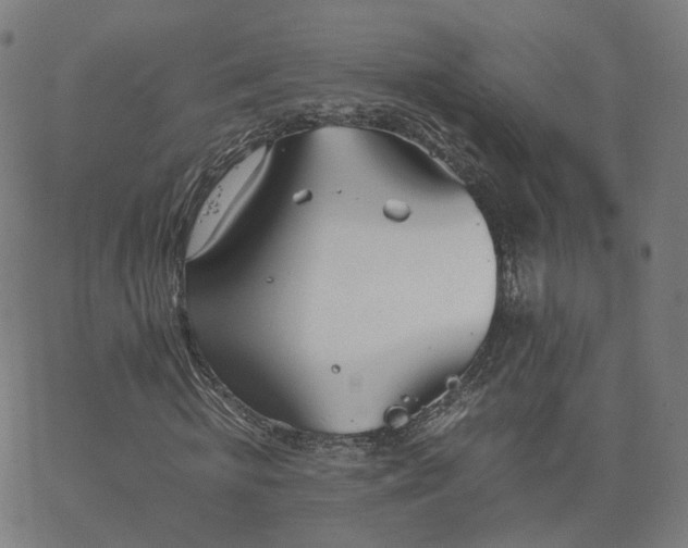 X0000063460820200601201243