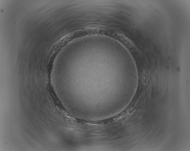 X0000063460821200601201243