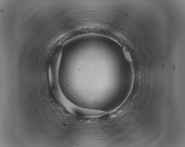 X0000063460822200601201243