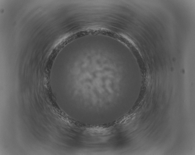 X0000063460823200601201243