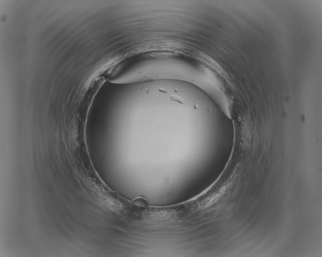 X0000063460826200601201243