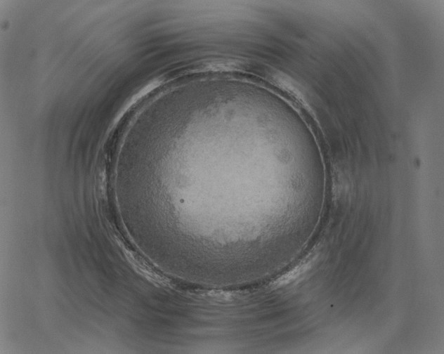 X0000063460827200601201243