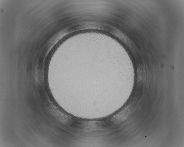 X0000063460828200601201243