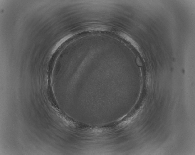 X0000063460829200601201243