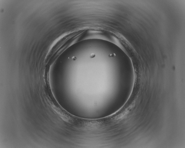 X0000063460830200601201243