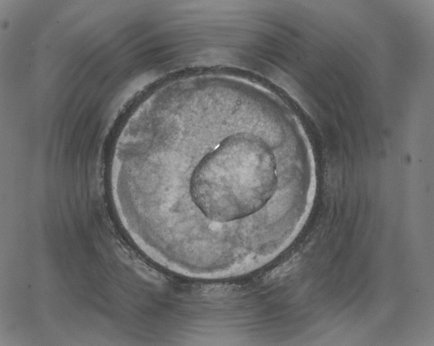 X0000063460832200601201243