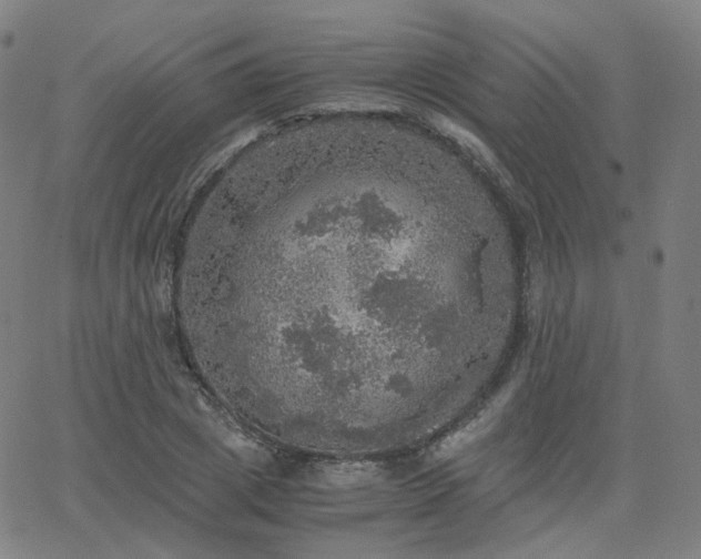 X0000063460833200601201243