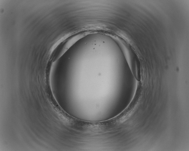 X0000063460834200601201243