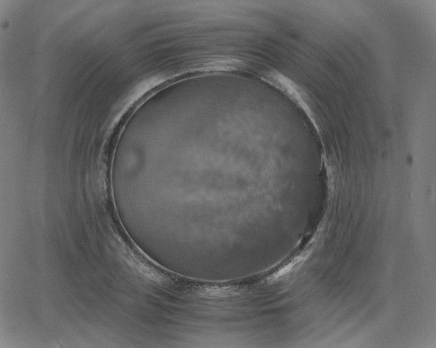 X0000063460835200601201244