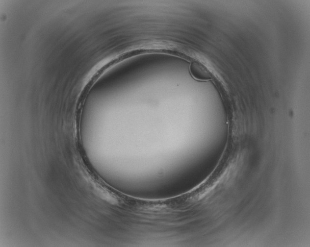 X0000063460837200601201244