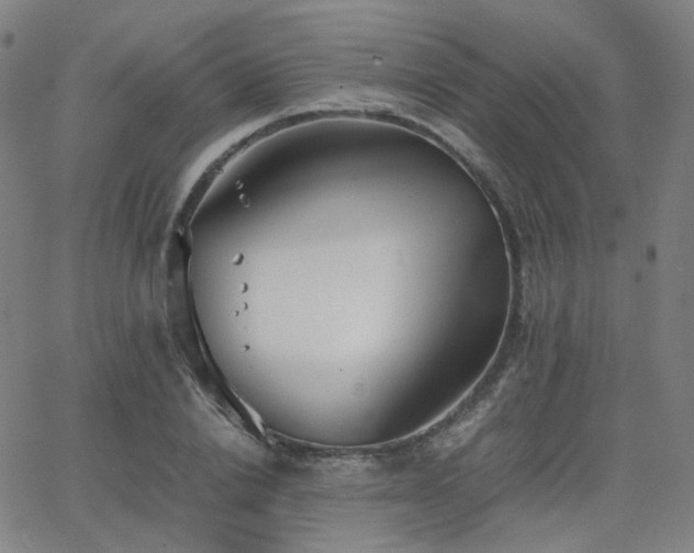 X0000063460838200601201244