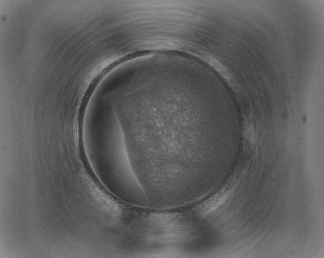 X0000063460840200601201244