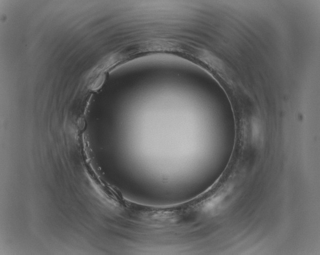 X0000063460841200601201244