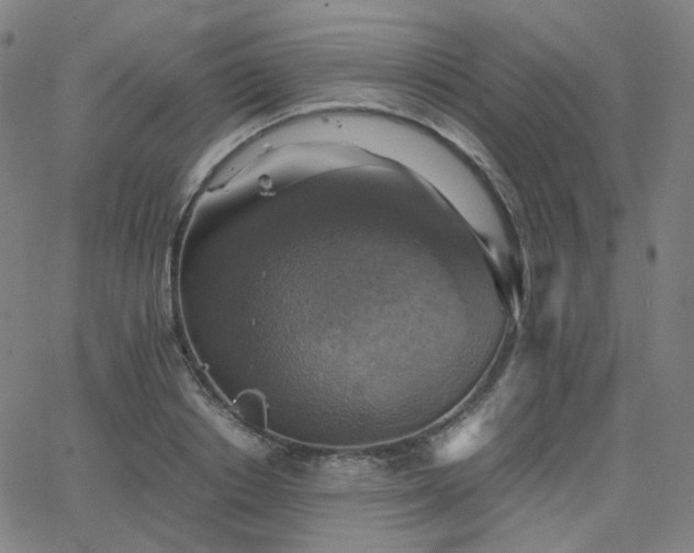 X0000063460842200601201244