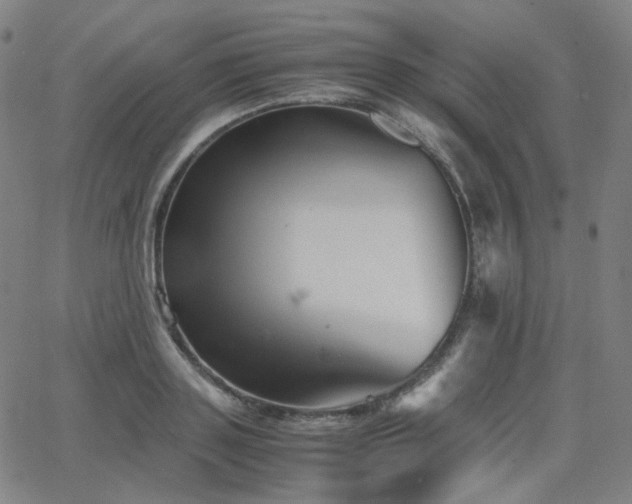 X0000063460843200601201244