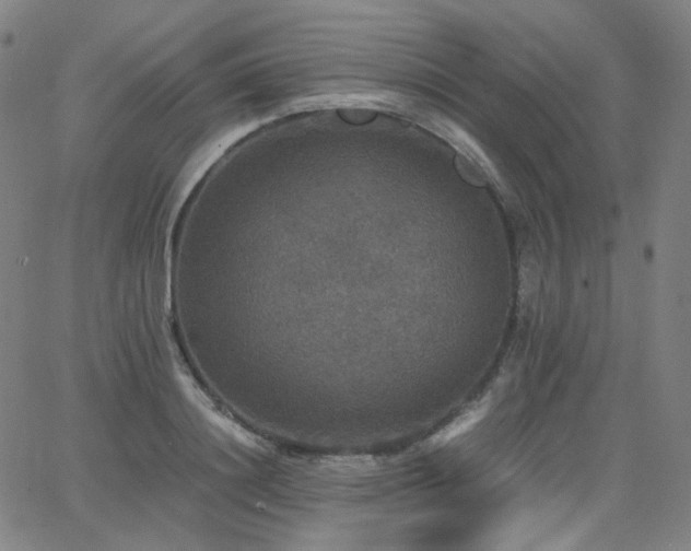 X0000063460844200601201244