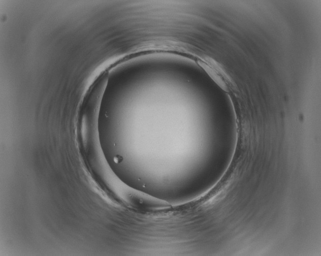 X0000063460846200601201244