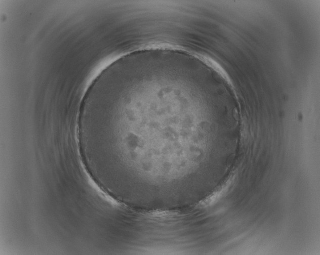 X0000063460847200601201244