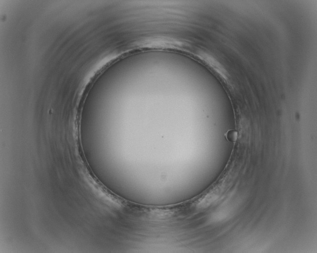 X0000063460848200601201244