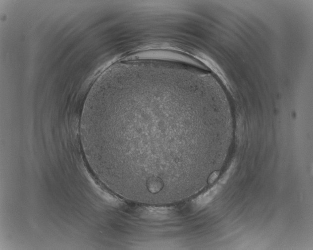 X0000063460849200601201244